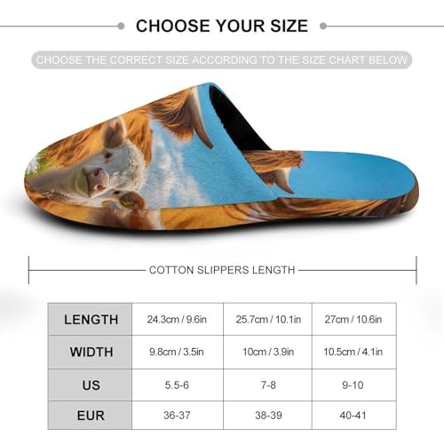 Highland Cow Women's Slippers Cute Warm House Shoes Home Slippers Spa Slippers Cotton Slippers - bellbottoms