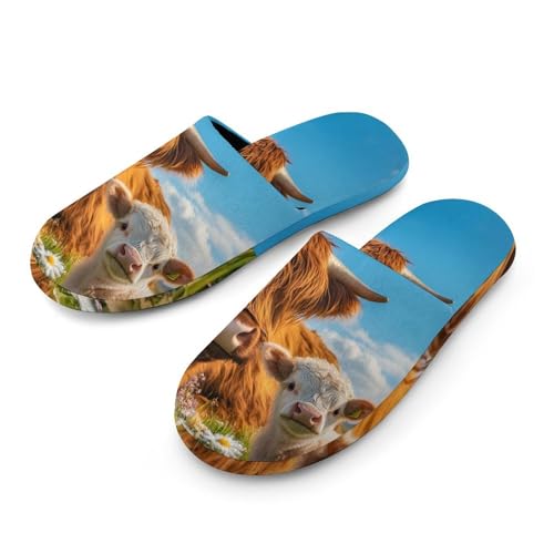 Highland Cow Women's Slippers Cute Warm House Shoes Home Slippers Spa Slippers Cotton Slippers - bellbottoms