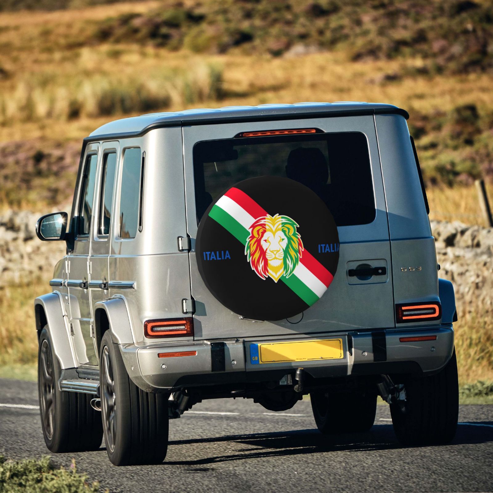 Italy Tire Dust Cover TIC2635 - Soccerfana