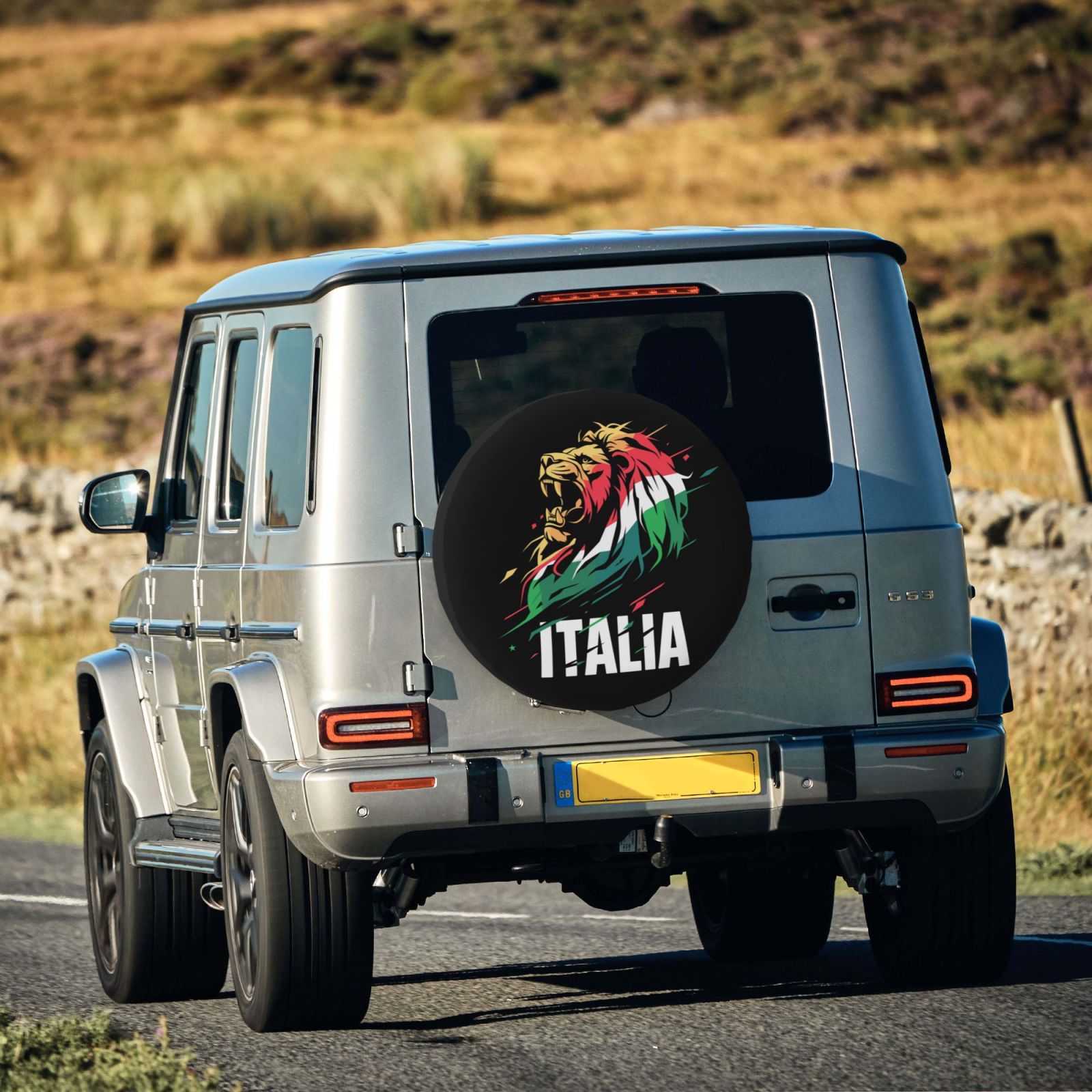Italy Tire Dust Cover TIC2722 - Soccerfana