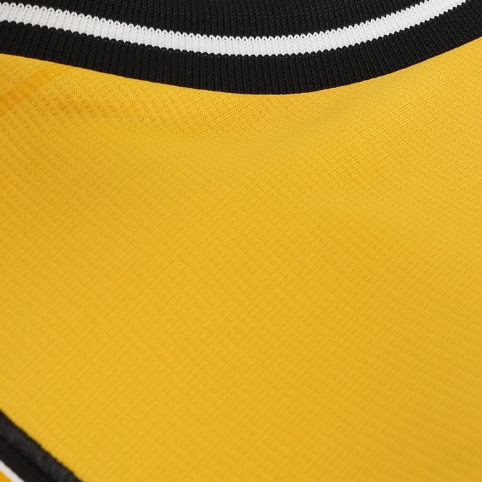 Wolverhampton Wanderers Home Jersey 23/24 - Soccerfana