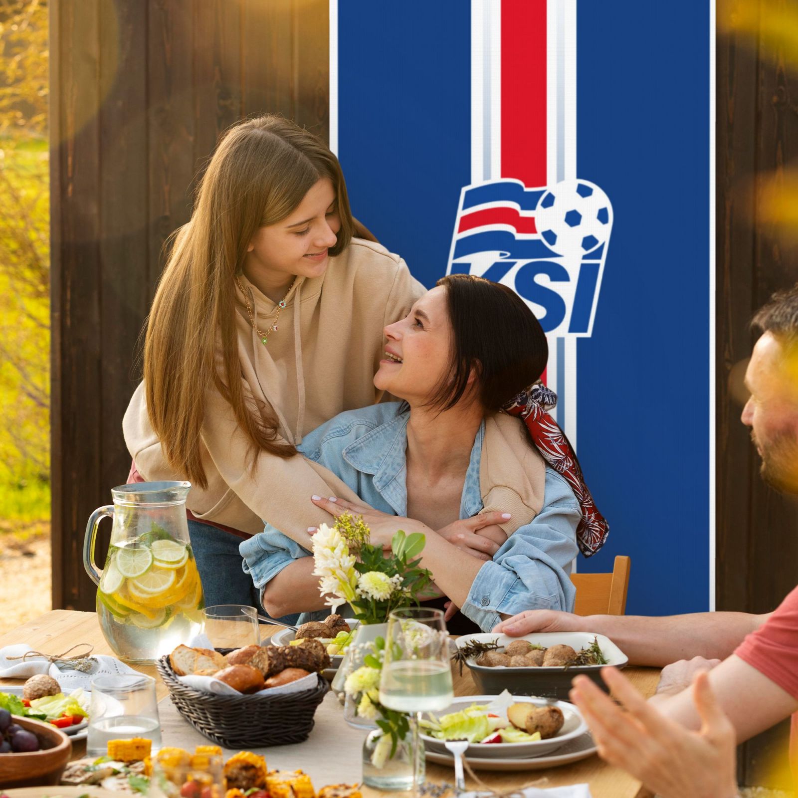 Iceland Door Cover Decorated Banner DCB2785 - Soccerfana