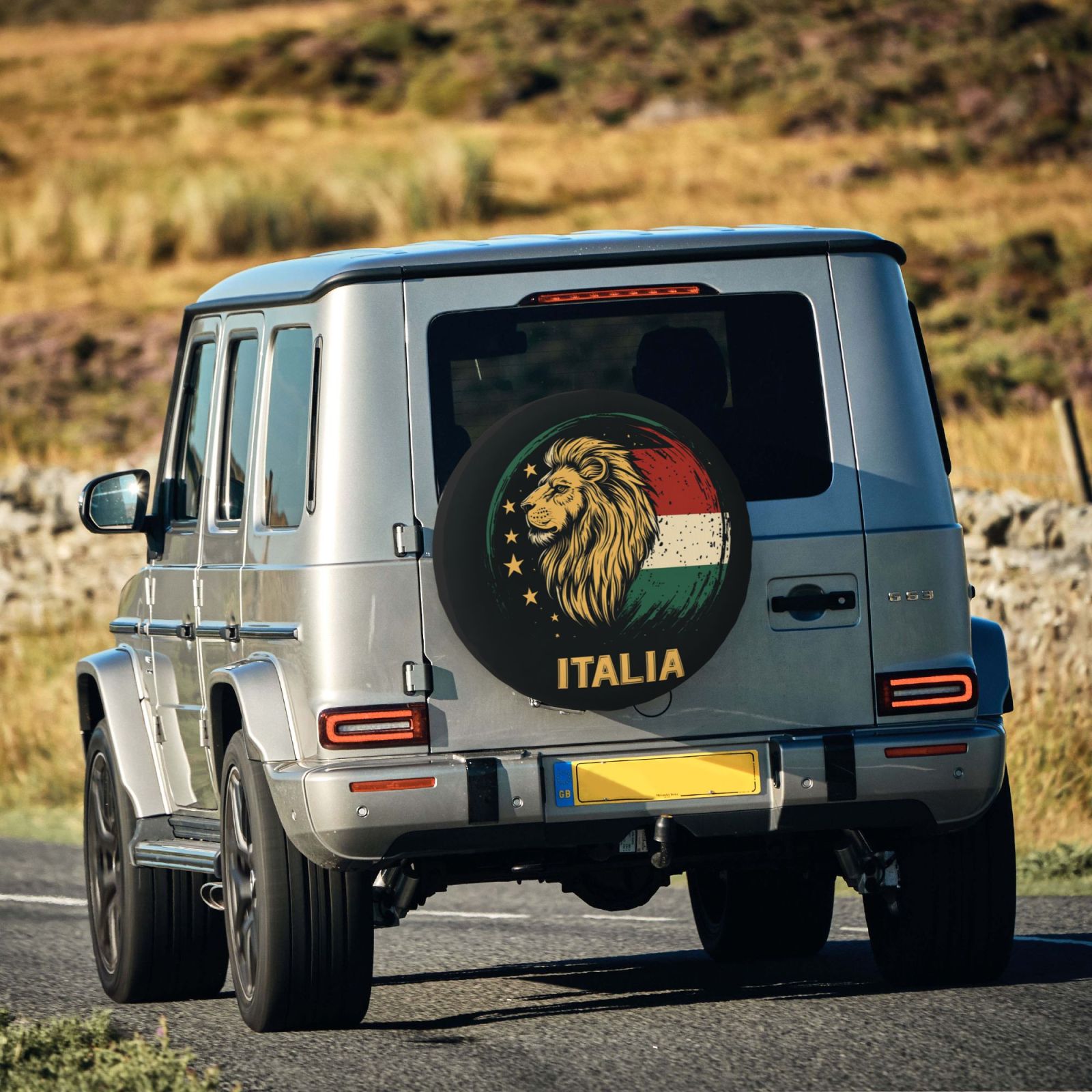 Italy Tire Dust Cover TIC2723 - Soccerfana