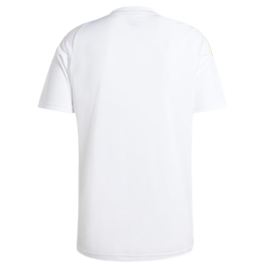 Argentina Messi Pitch 2 Street Training Jersey - Soccerfana