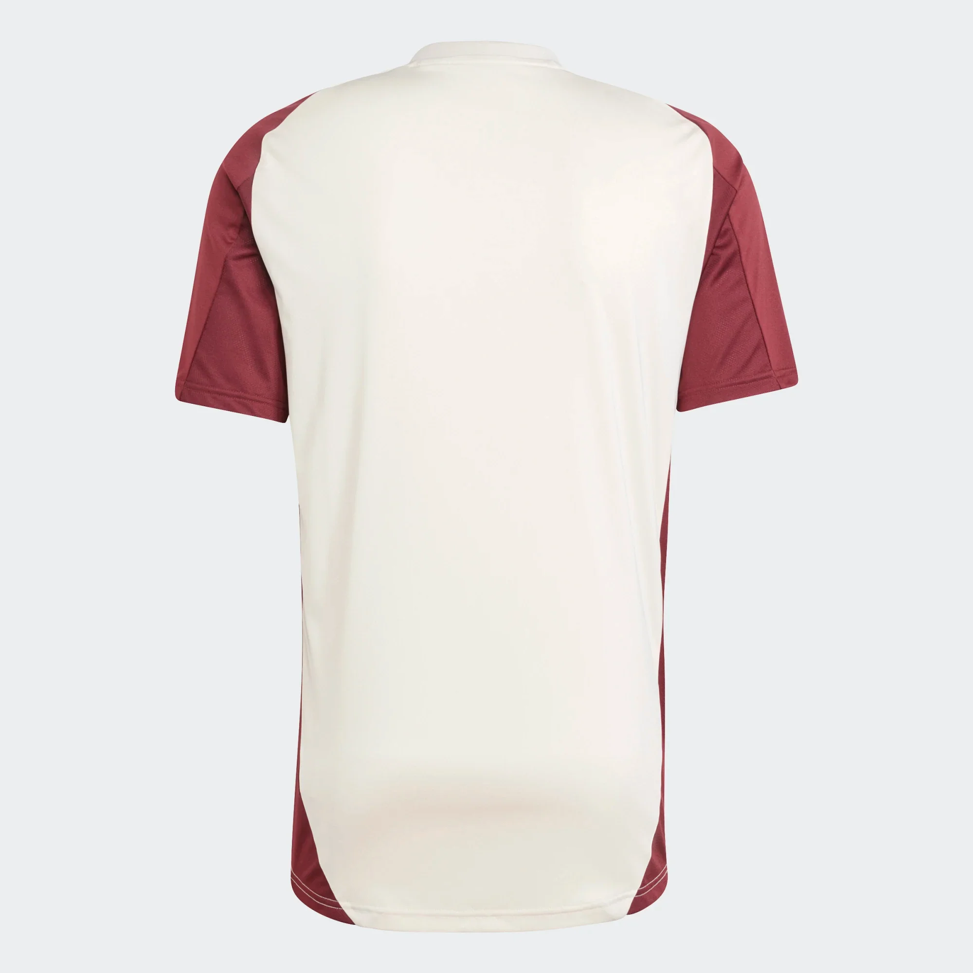 Bayern Munich European Training Jersey 2024/25 - Soccerfana