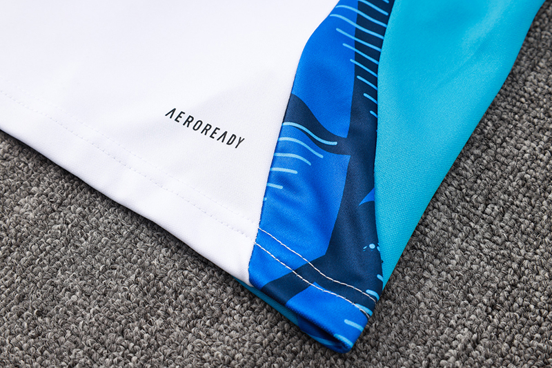 Italy Long Sleeve Track Suit 2024/25 MEN556 - Soccerfana