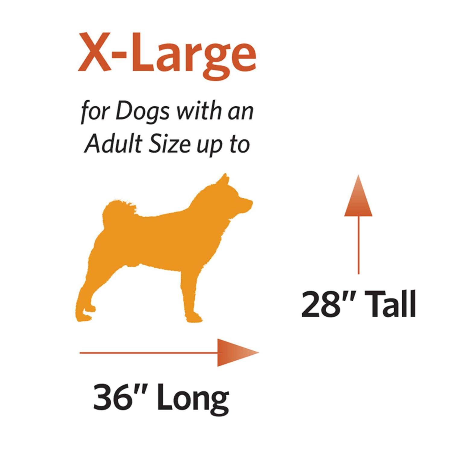 Dog Supplies News ruruana dog-supplies-news-ruruana