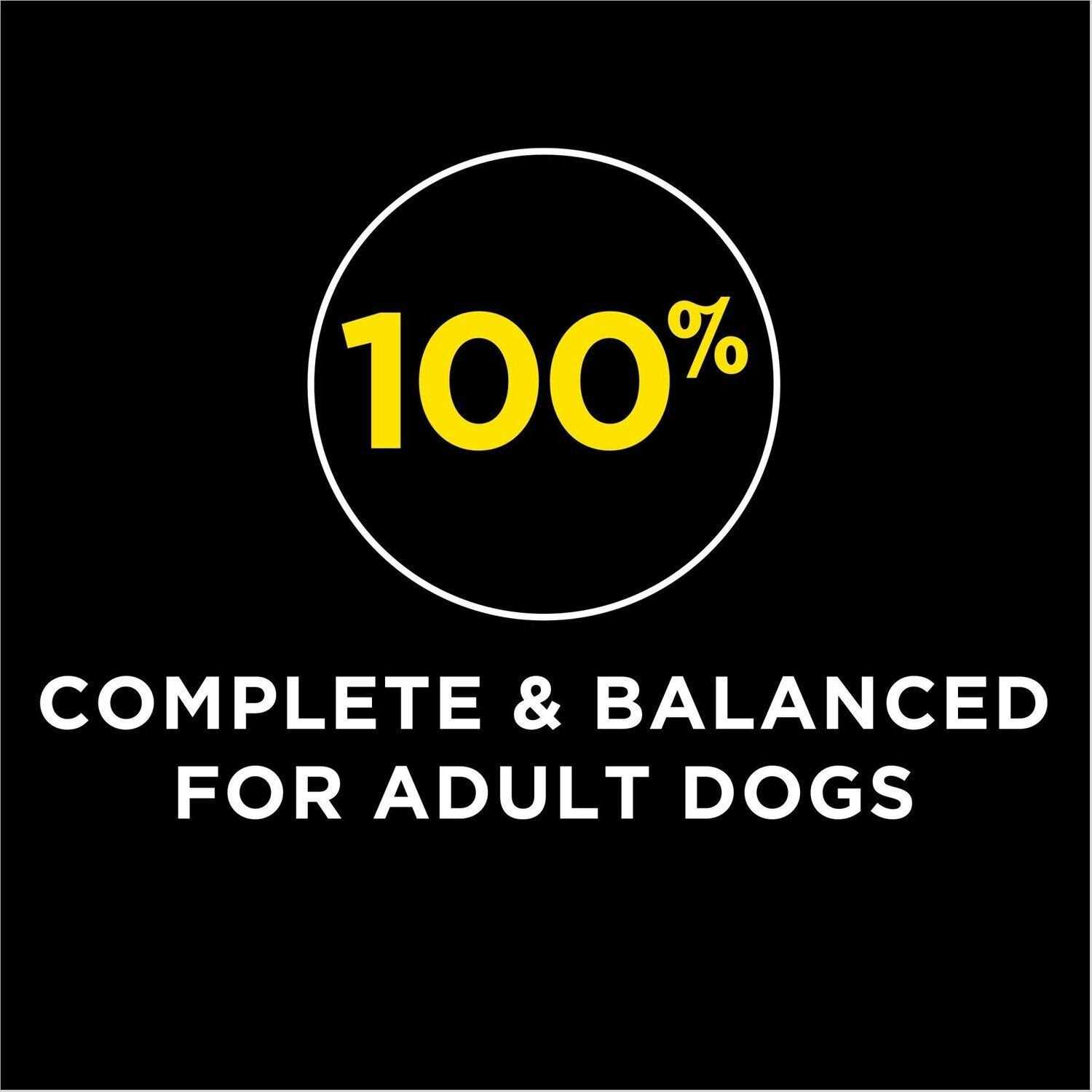 Dog Supplies News ruruana dog-supplies-news-ruruana