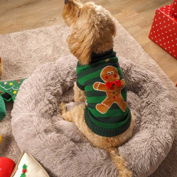 Smart Garden Gingerbread Dog Jumper
