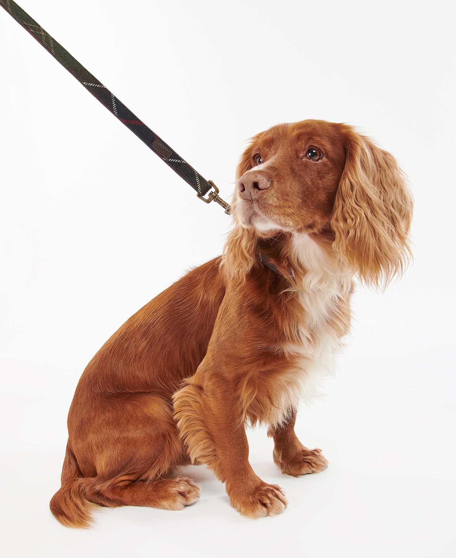 Barbour Tartan Dog Lead