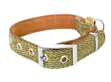 Earthbound Tweed Green Dog Collar L