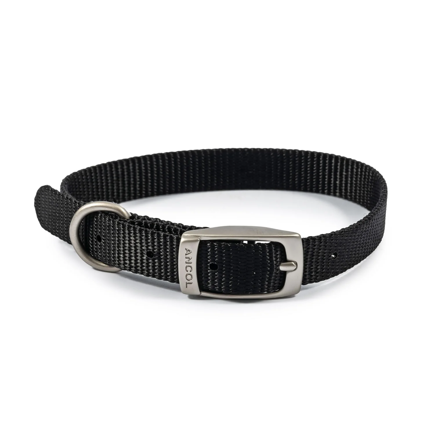 Ancol Viva Buckle Collar