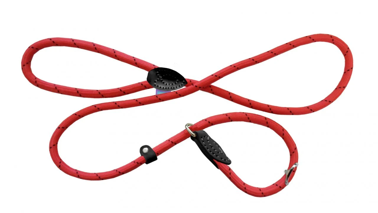 Hemmo & Co Dog Lead Slip 60 Red