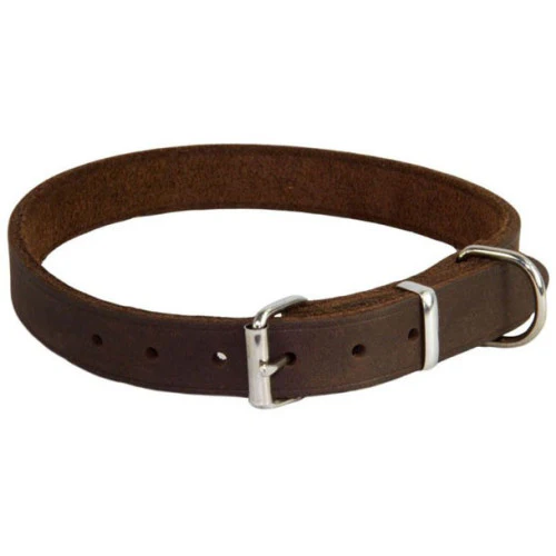 Earthbound Brown Leather Dog Collar L