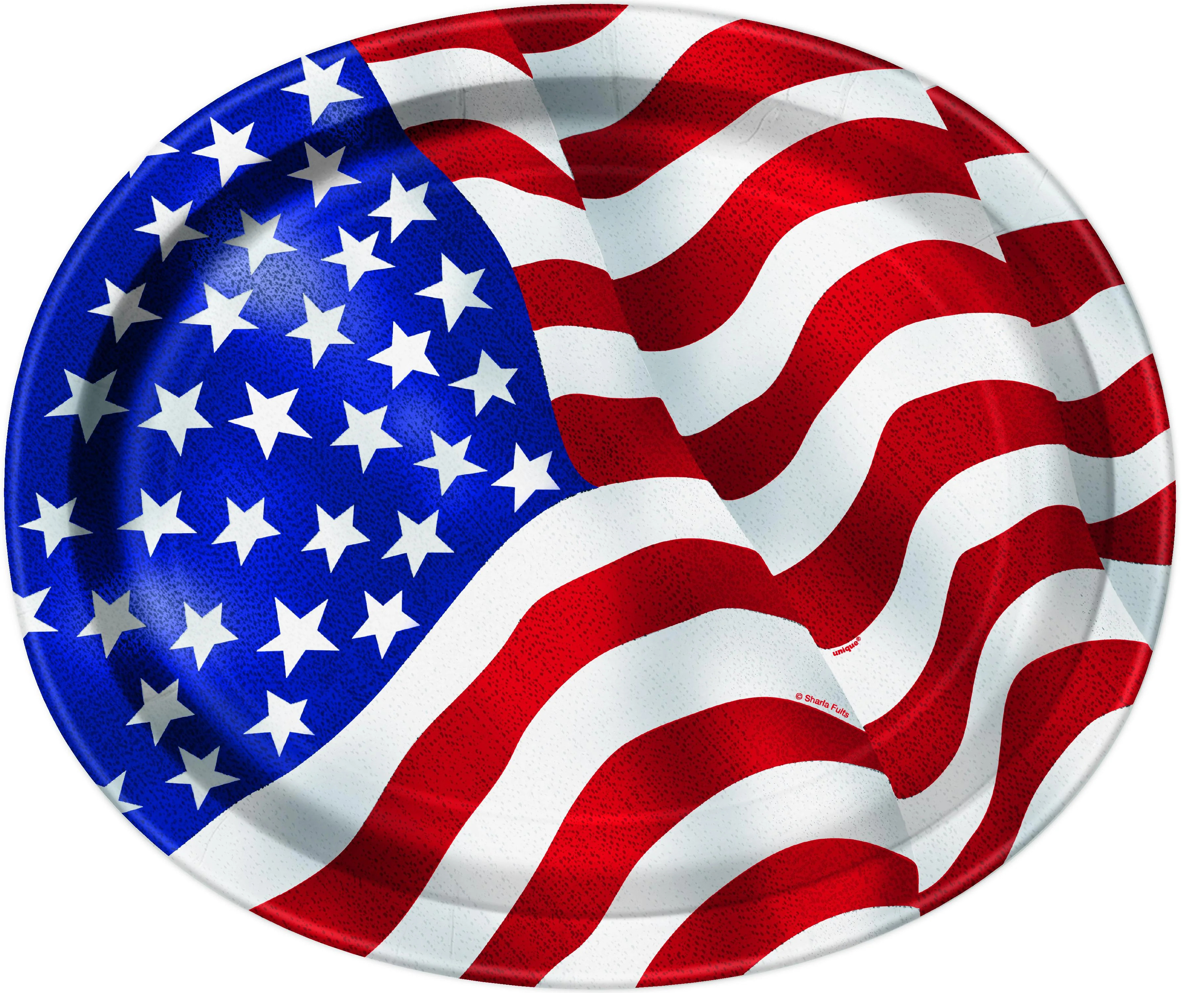 USA Flag 12