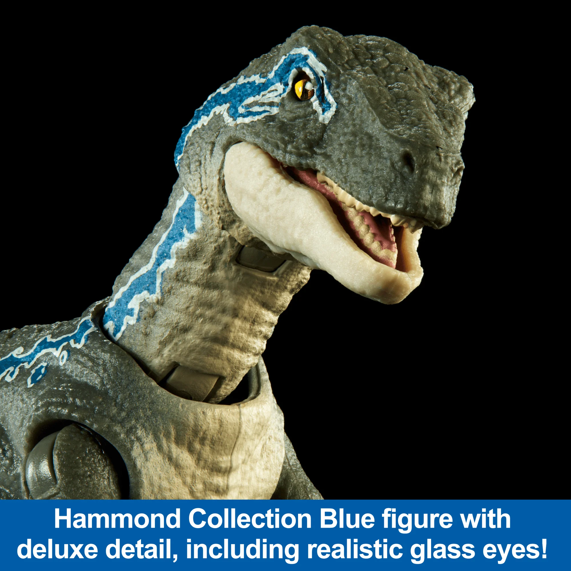 Jurassic World Hammond Collection Velociraptor Blue Dinosaur Figure Collectible Toy