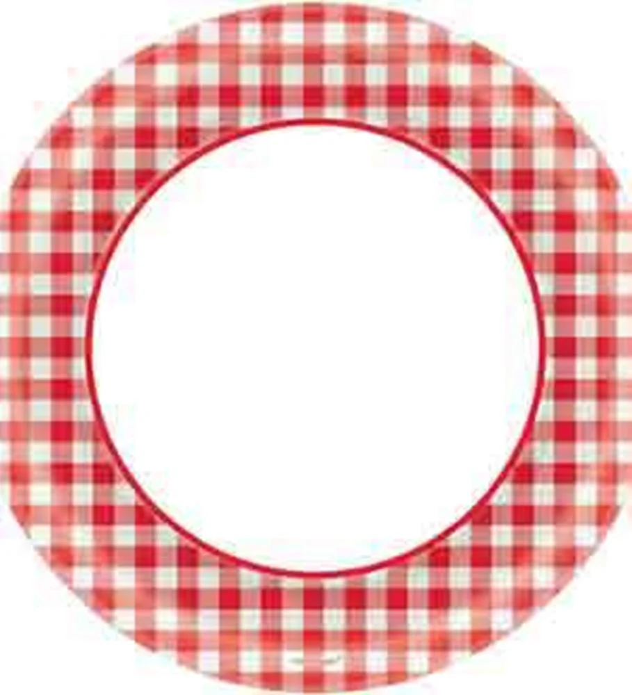 Gingham Picnic Plate 10in