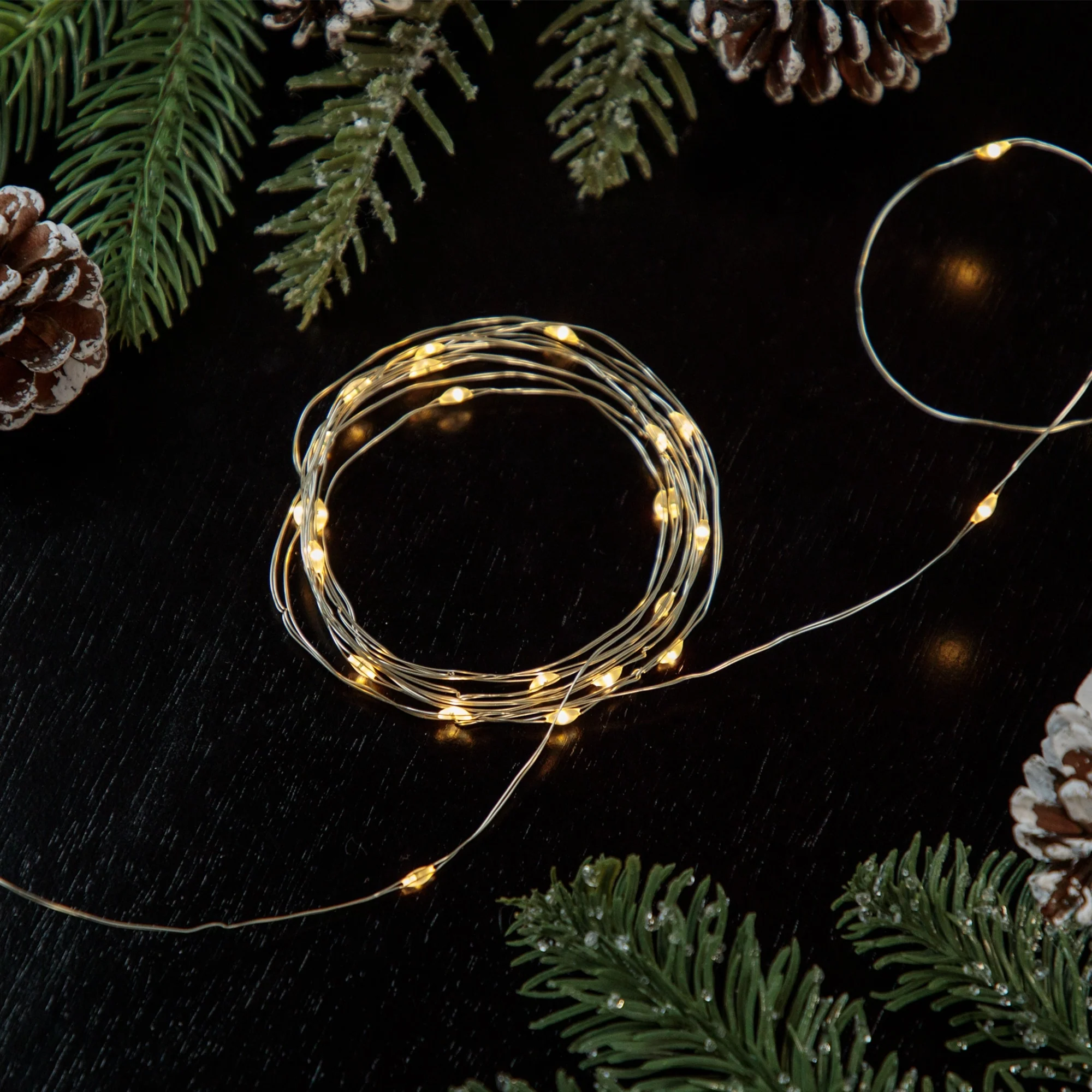 20 B/O Warm White LED Micro Fairy Lights - 6ft, Copper Wire