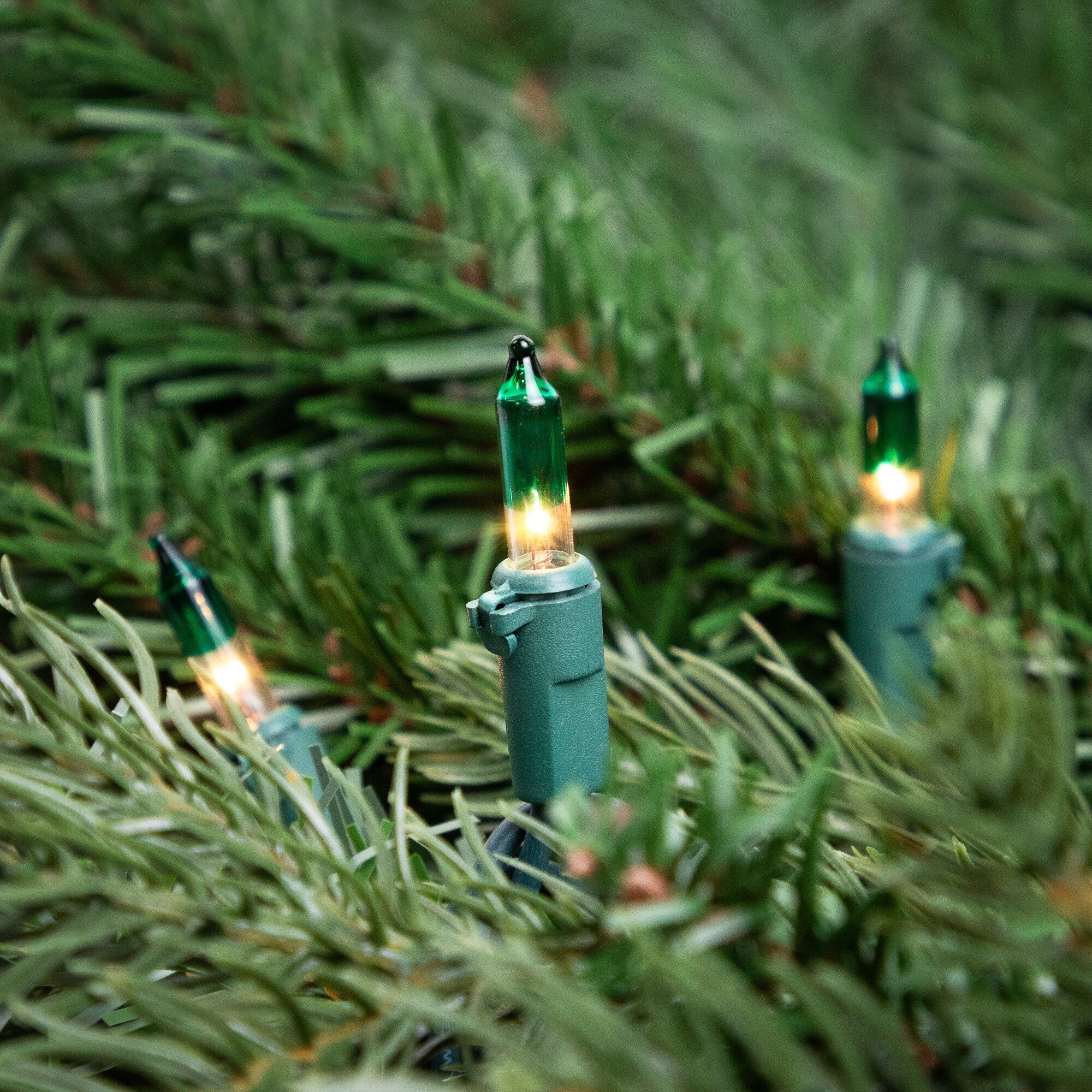 Mini Christmas Light Set - Clear with Green Tip - 10' Green Wire - 50ct