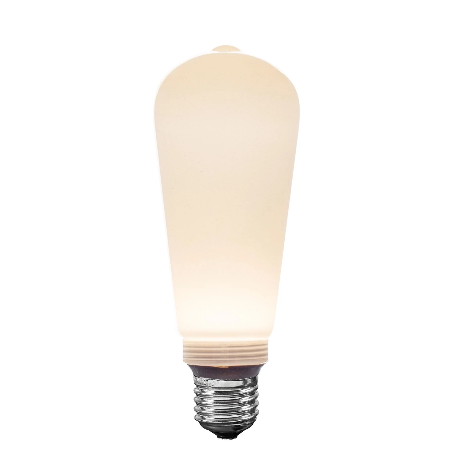 Festive Living LED ST19 + COB Bulb Indoor/Outdoor Covered Edison Bulbs, E26 Base - Velora Light - Large