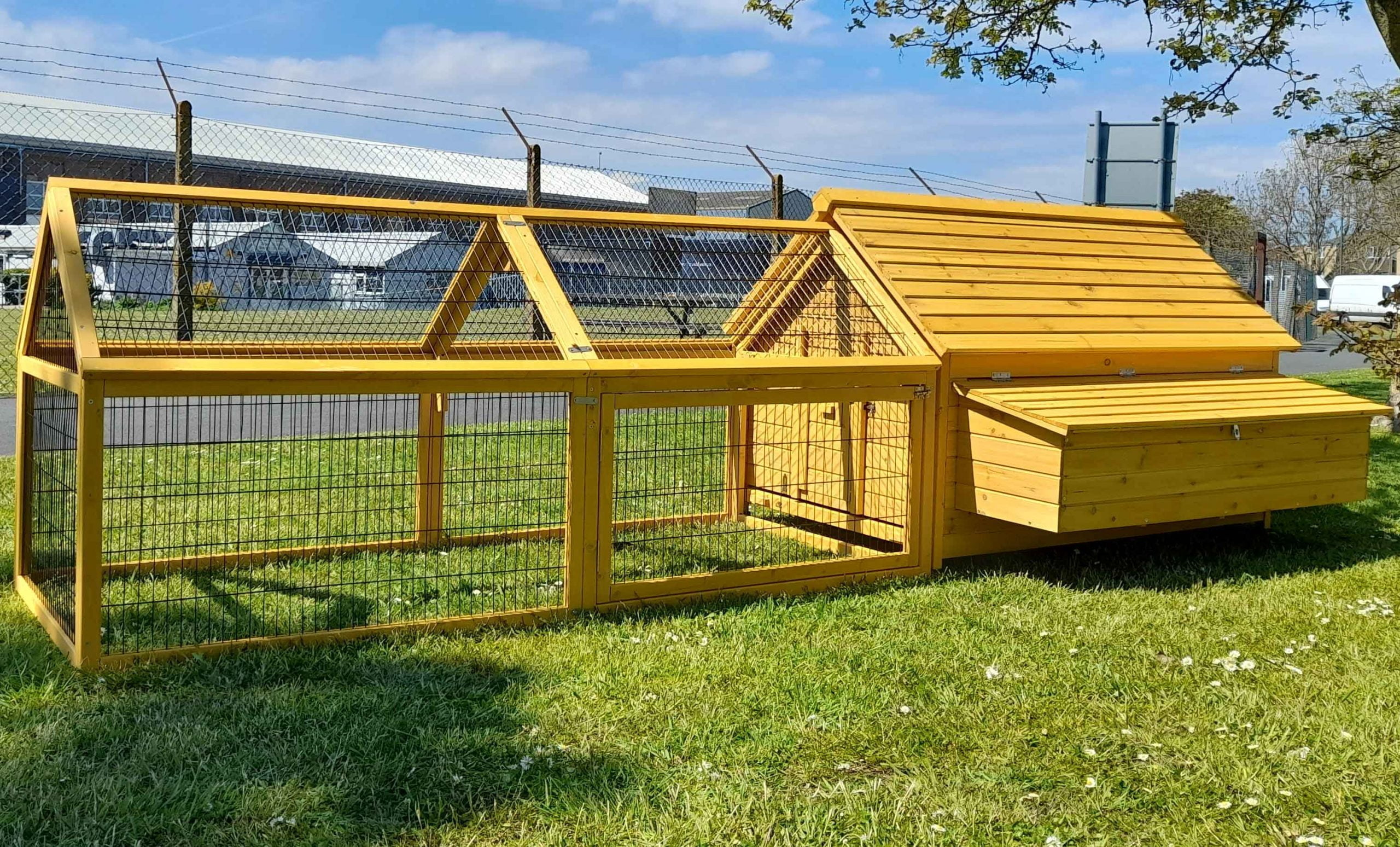 XL Skylight Cottage Chicken with 2 Meter Run Design