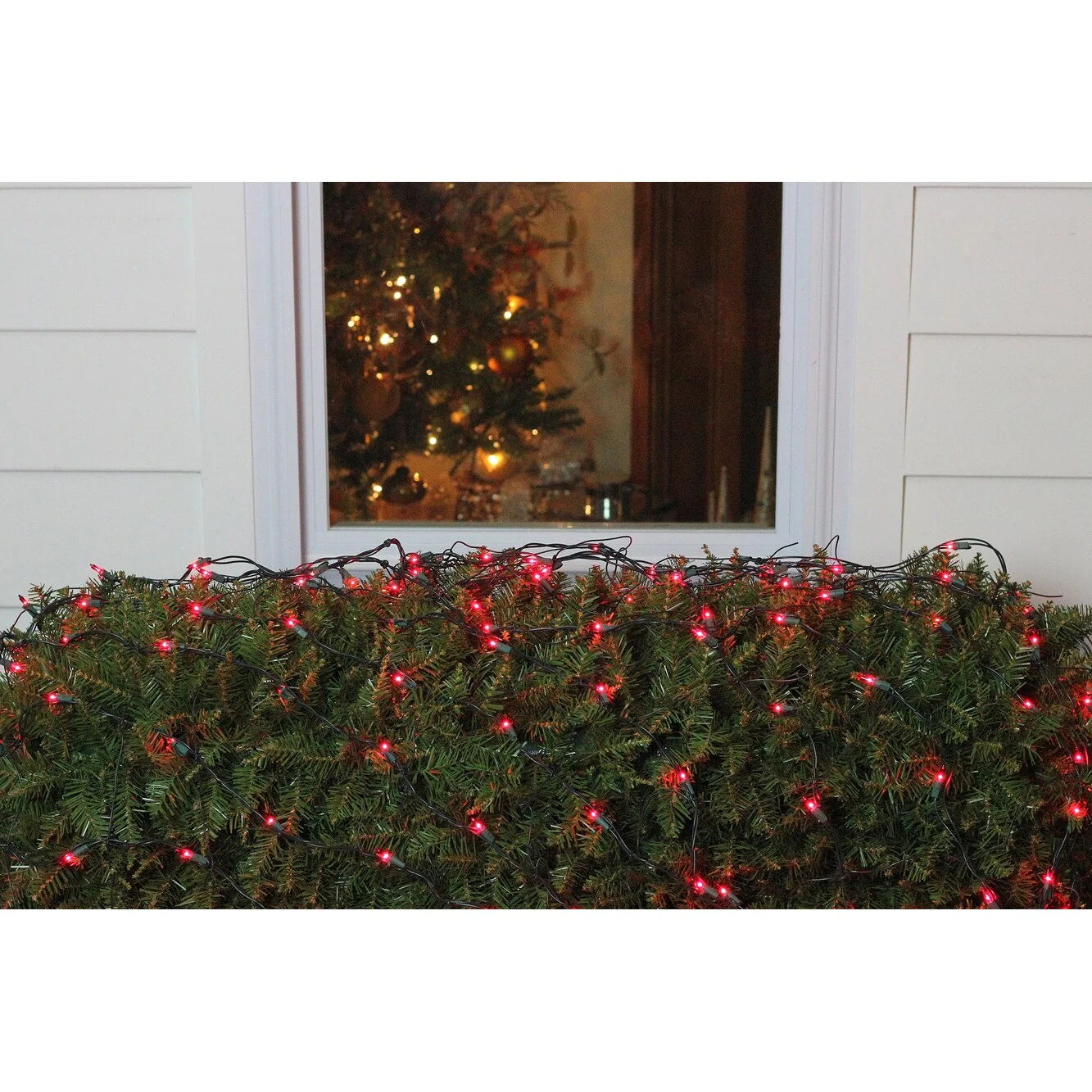 4' x 6' Red Mini Incandescent Net Style Christmas Lights, Green Wire