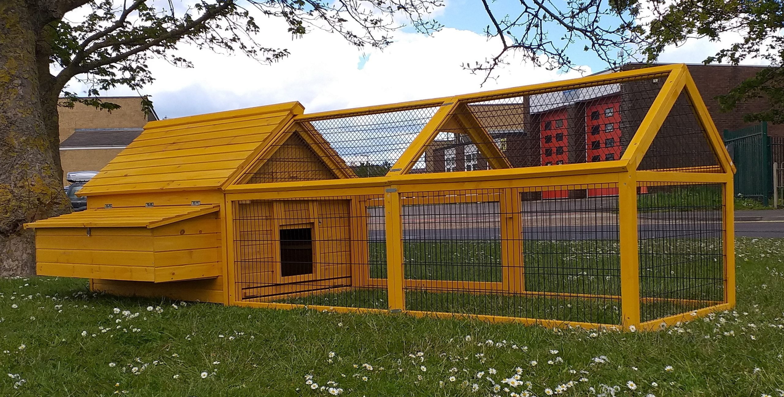 Starlight Chicken Coop with 2 Meter Run