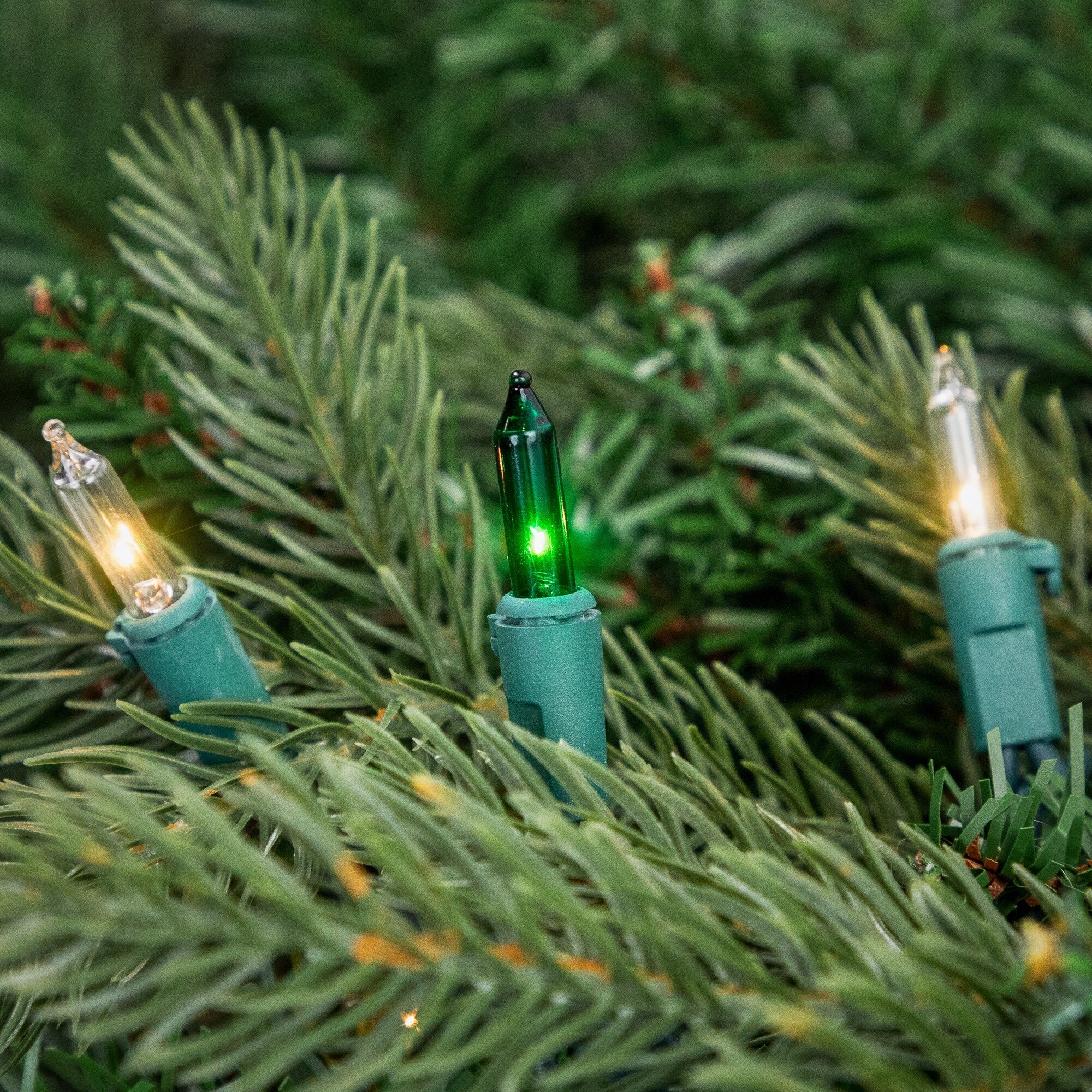 Mini Christmas Light Set - Green and Clear - 10' Green Wire - 50ct