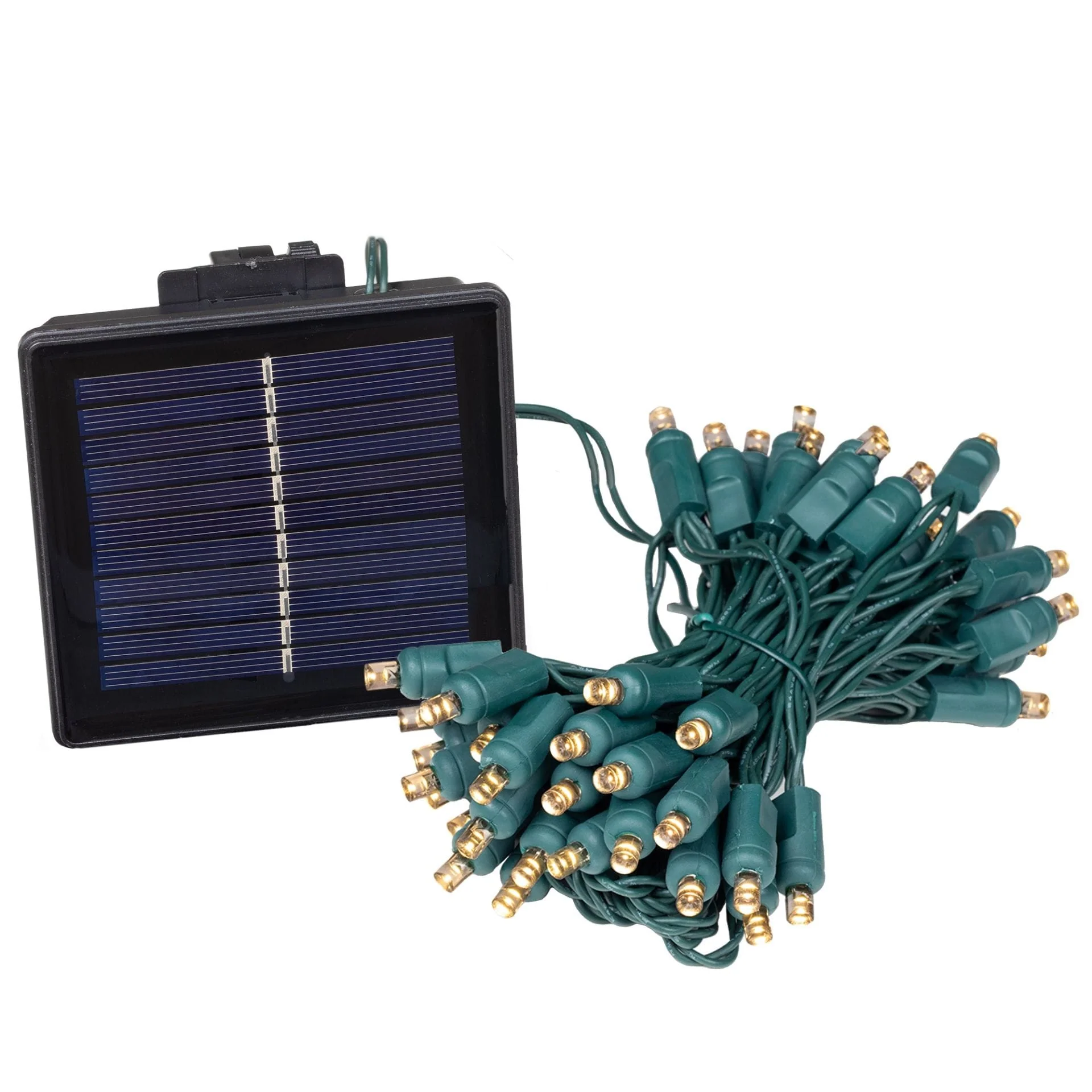 Novelty Lights 50 Light Solar LED Outdoor Christmas Mini Light Set, 12 Feet
