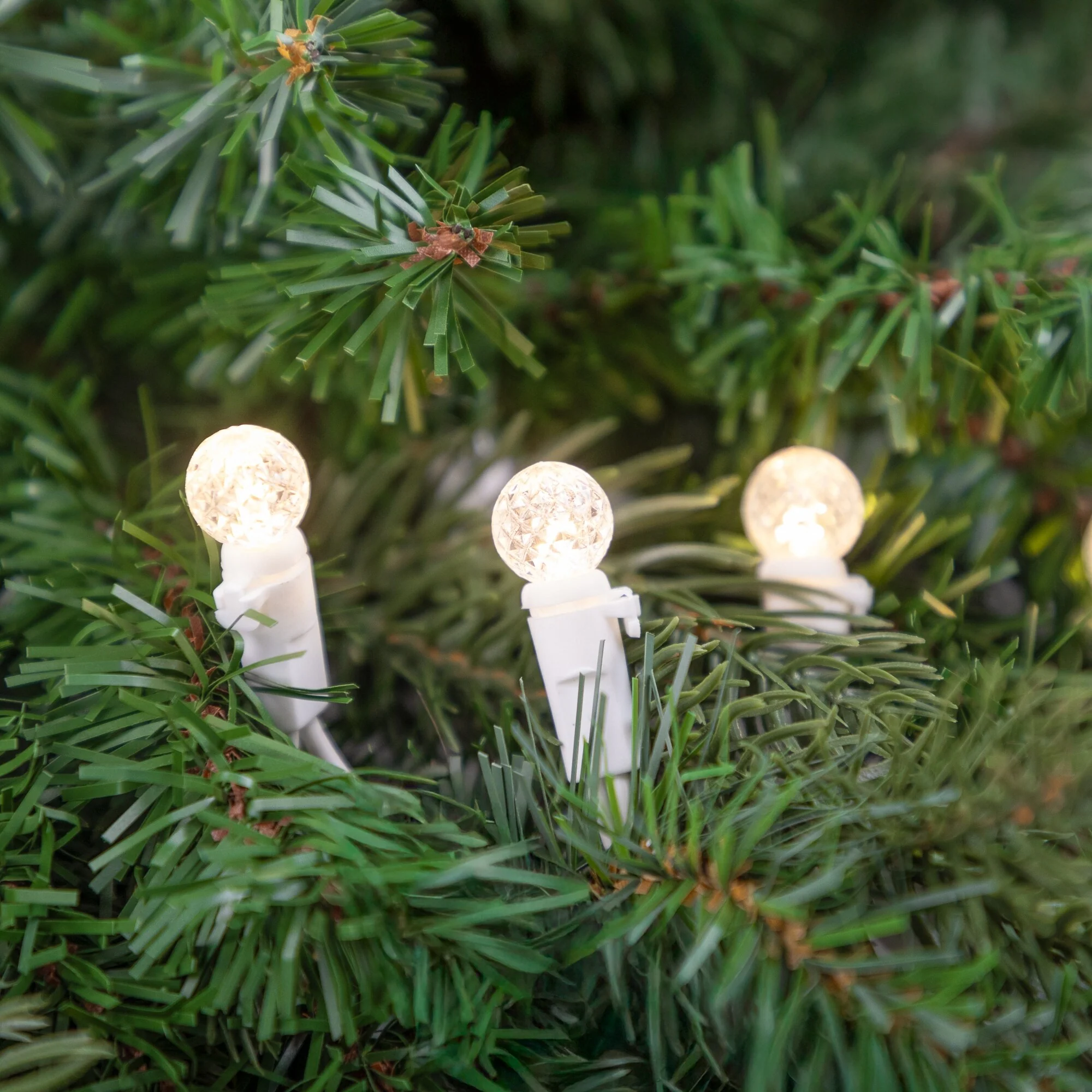 50 Count Warm White LED G12 Berry Mini Christmas Lights, White Wire