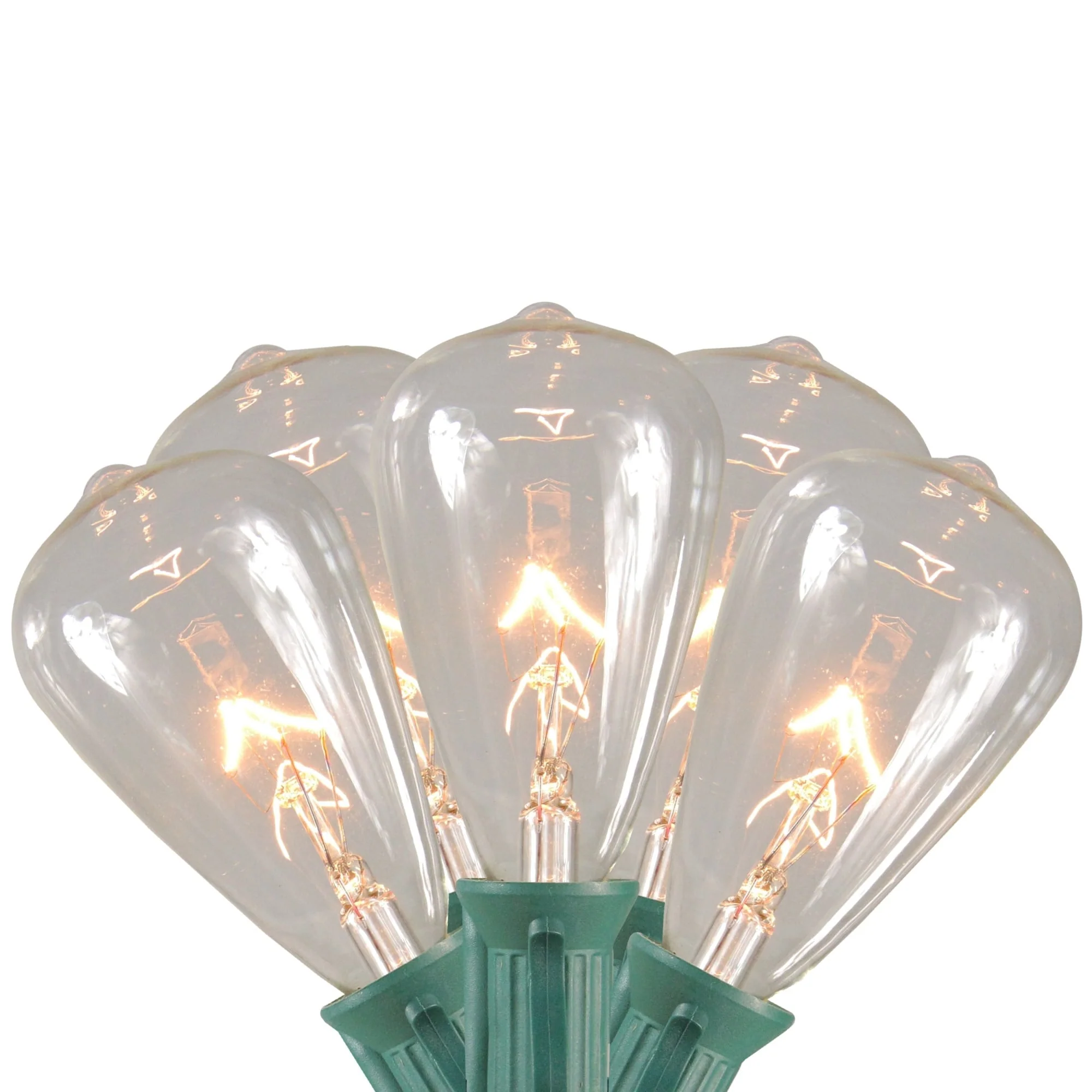 10-Count Clear Edison Glass Patio Lights, 9ft Green Wire