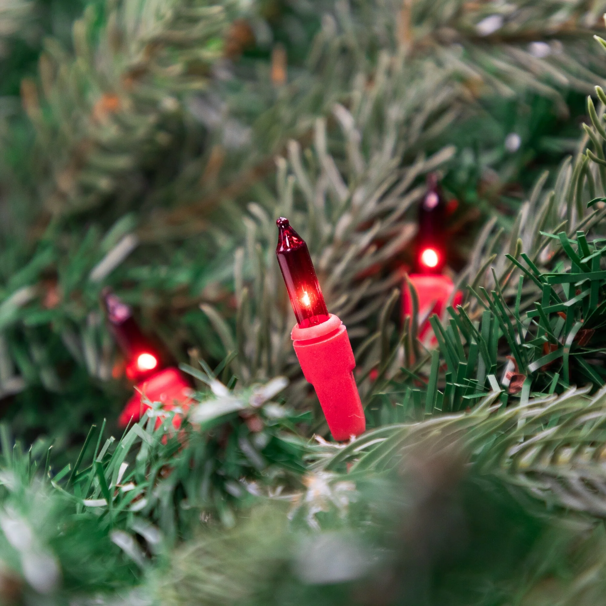 Mini Christmas Lights - Red - 20' Red Wire - 100ct