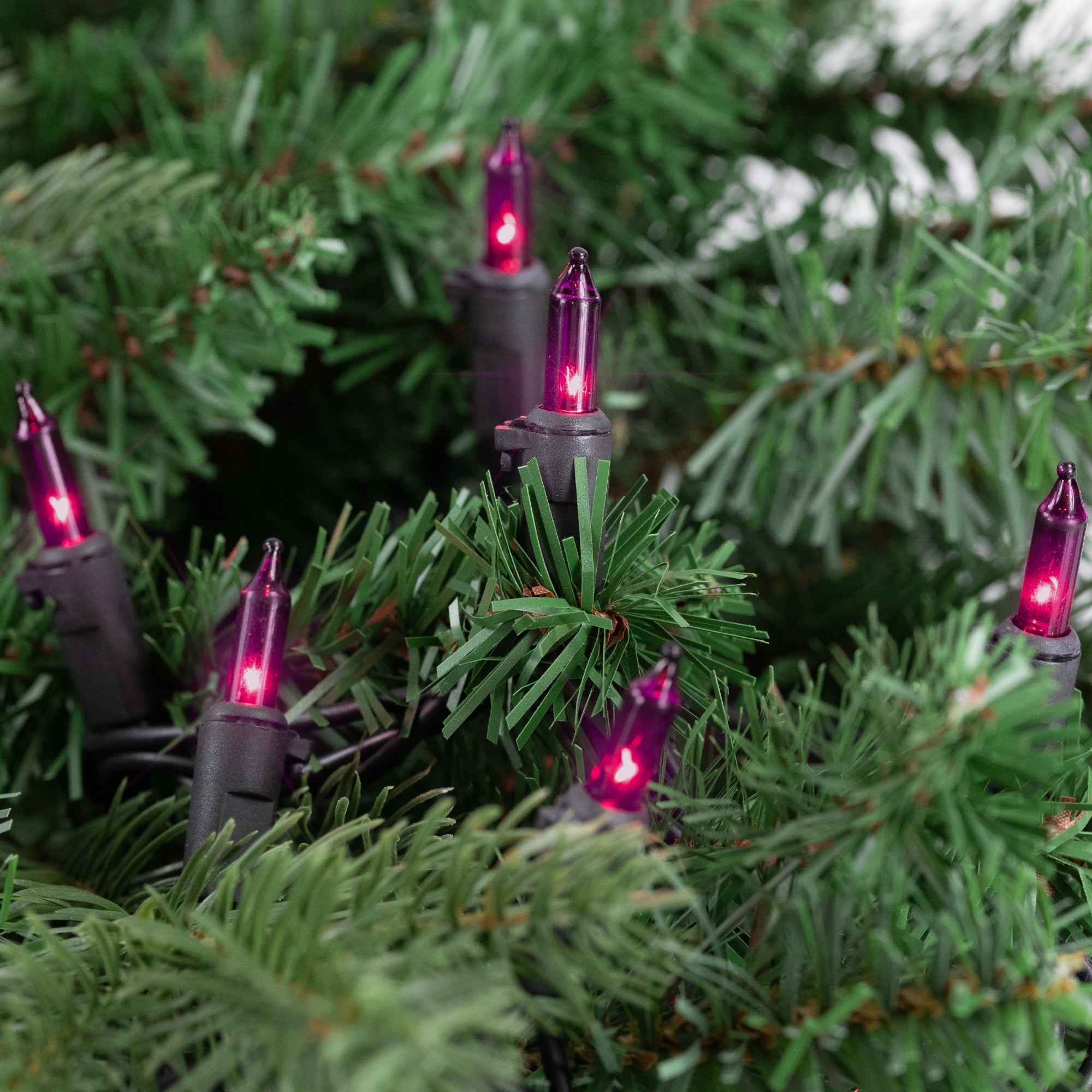 100 Purple Mini Incandescent Christmas Lights 2.5