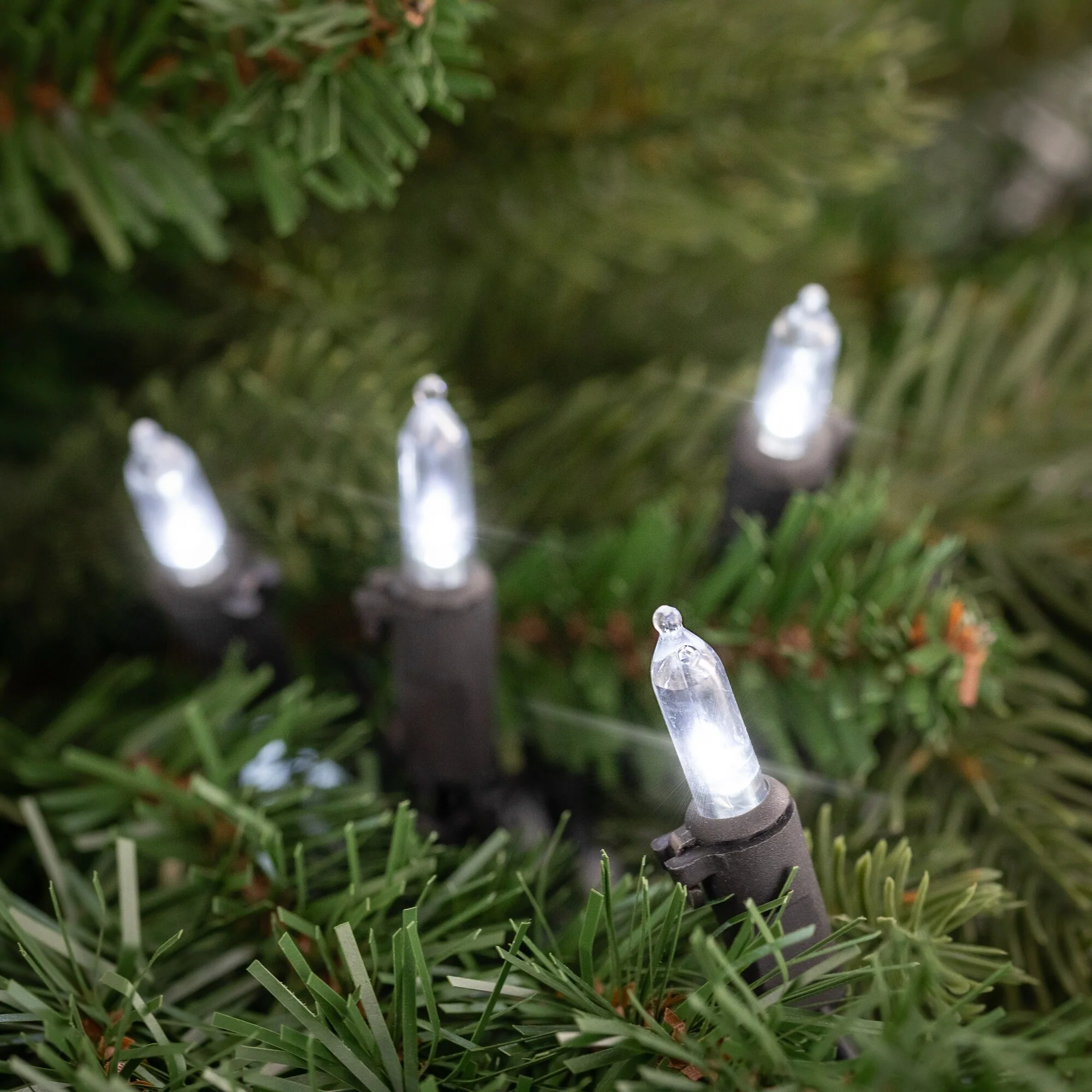 LED Mini Christmas Lights - Pure White - 33' Black Wire - 100ct