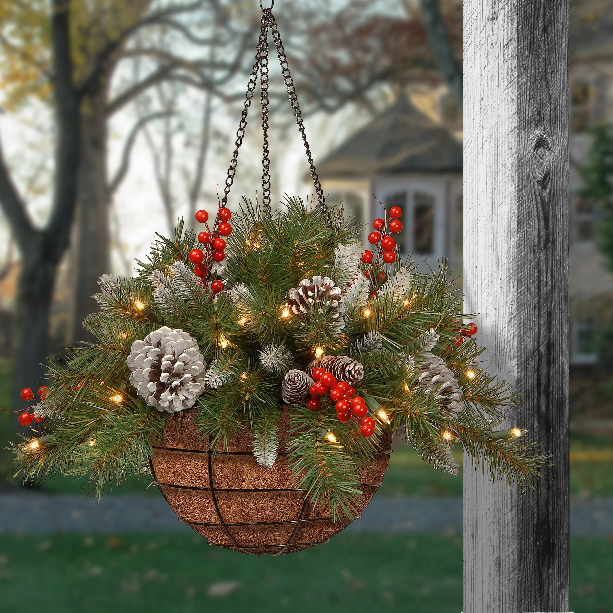 National Tree Company 20 in. Pre-lit Frosted Pine/ Red Berries Hanging Arrangement