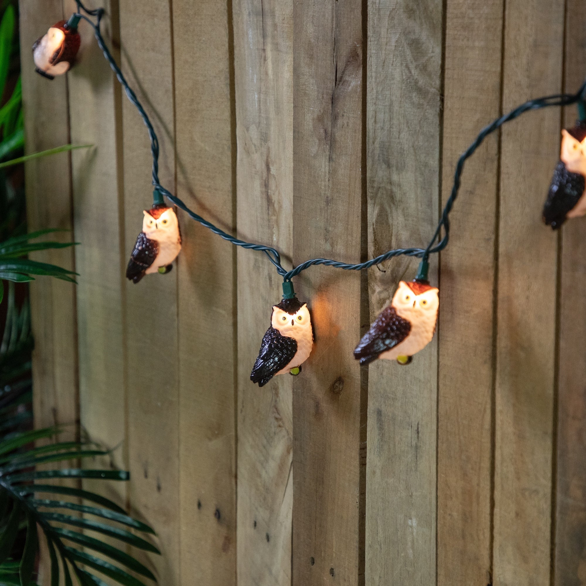Owl Indoor Outdoor Patio Light Set - 6' - Green Wire - 10ct