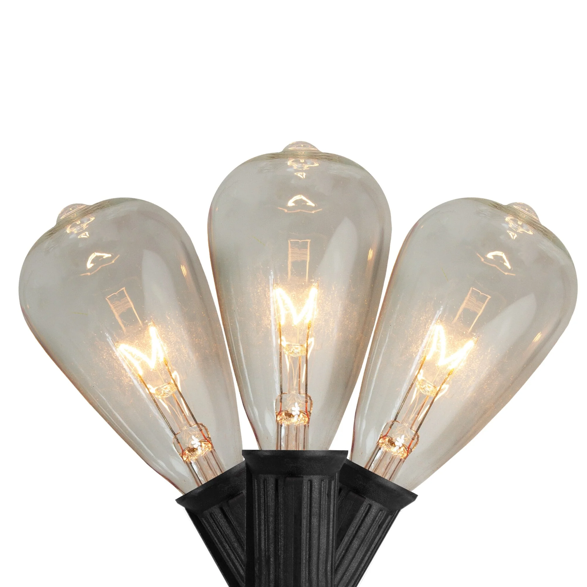 10 Count Clear Edison Glass Patio Lights, 9ft Black Wire