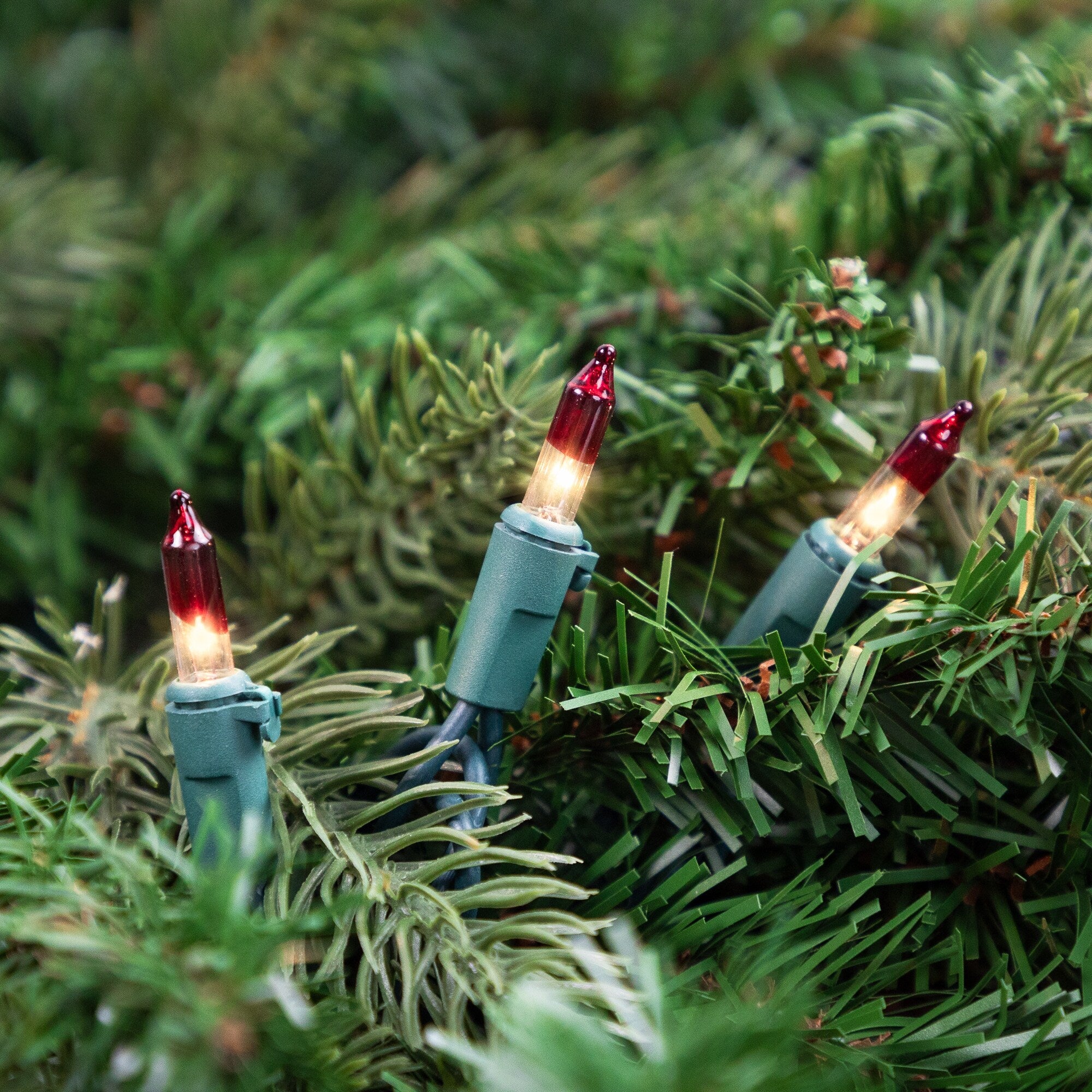 Mini Christmas Light Set - Clear with Red Tips - 10' Green Wire - 50ct