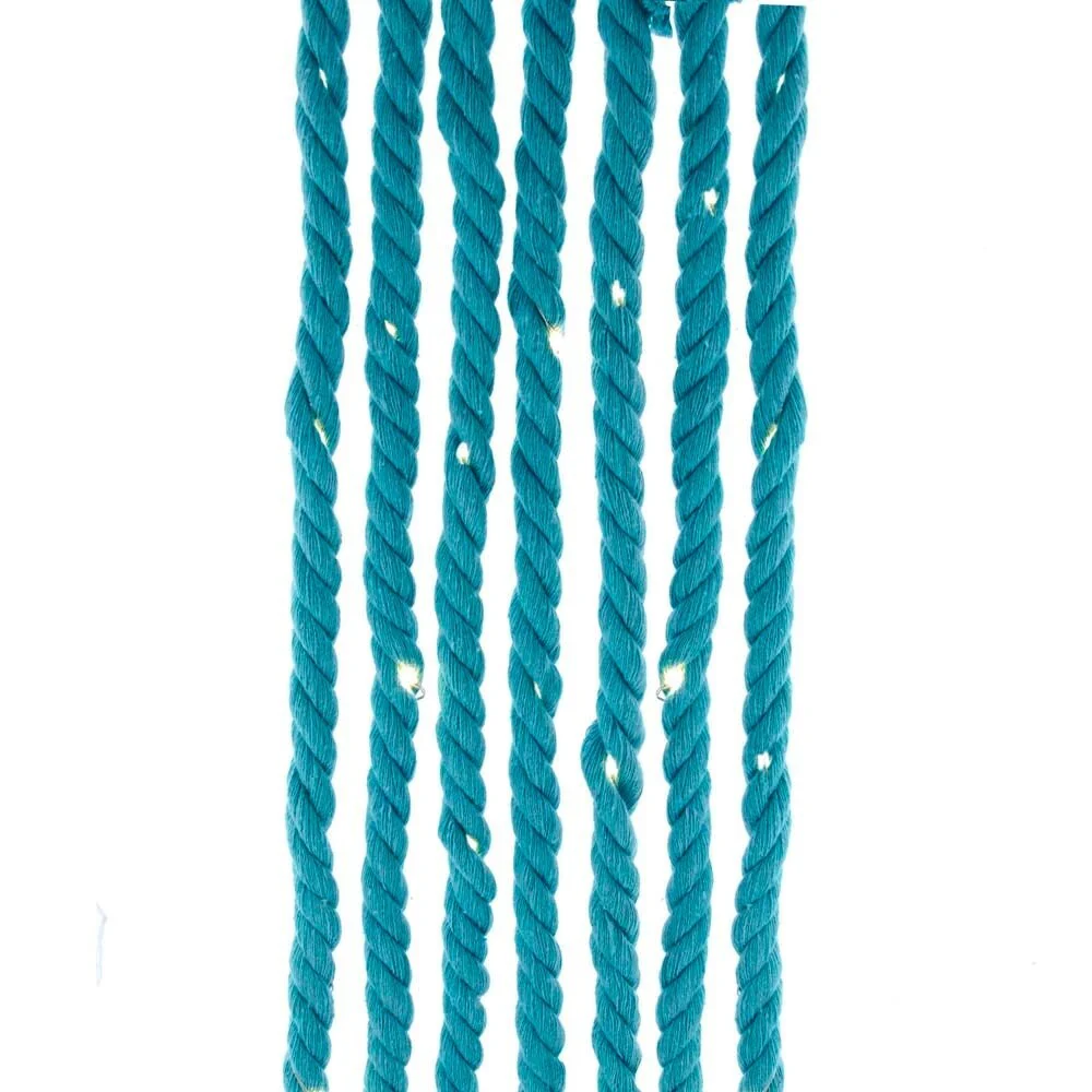 Kurt Adler 30-Light 9.8 Foot Battery-Operated Teal Rope with Warm White Superbright LED Light Set