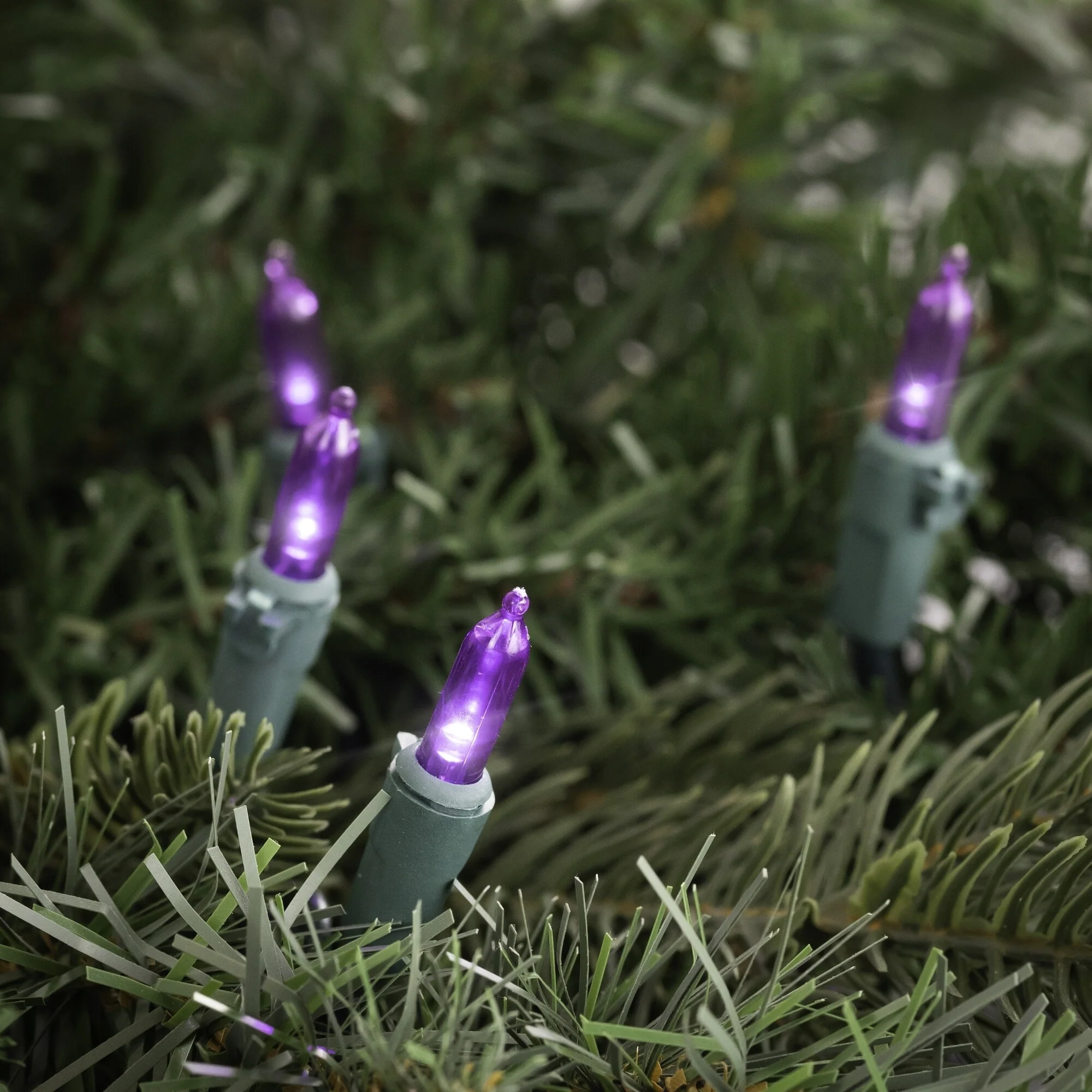 LED Mini Christmas Lights - Purple -33' Green Wire - 100ct