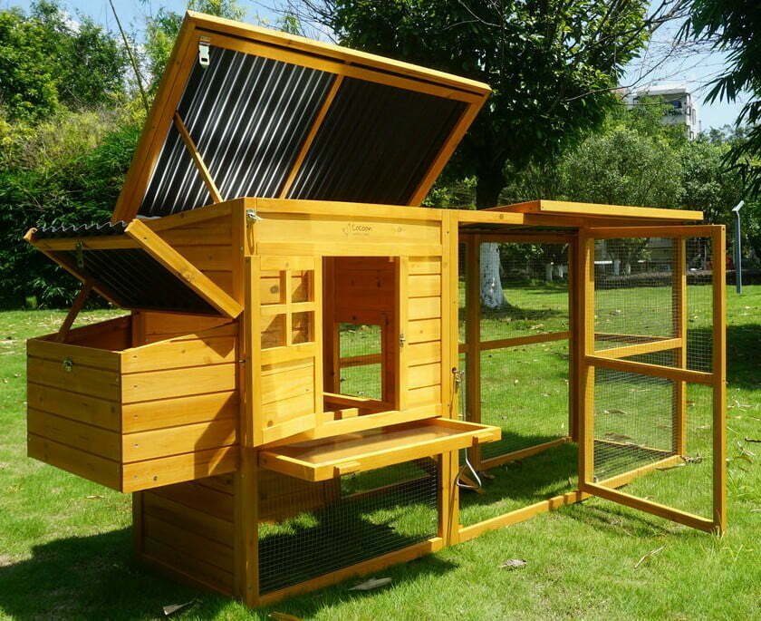 The Milking Shed Chicken Coop