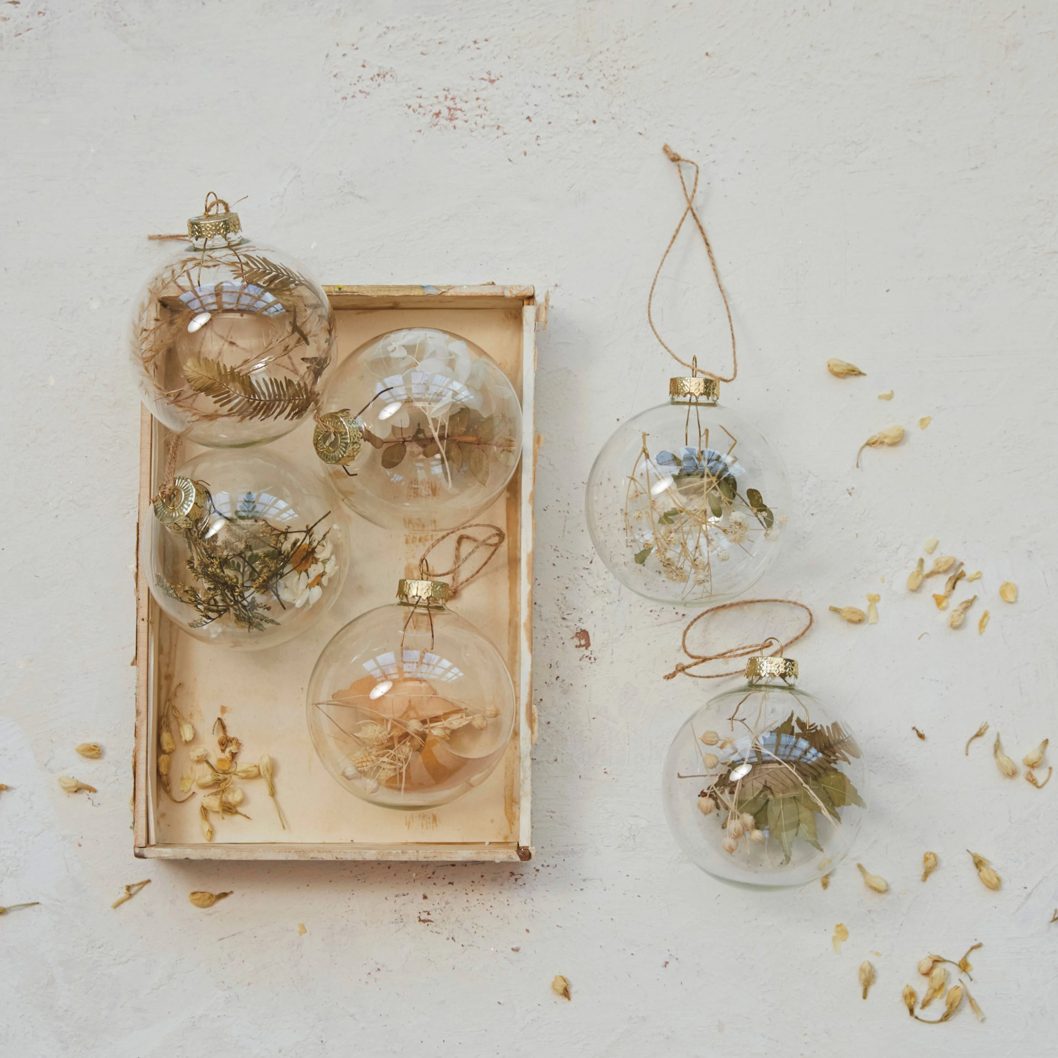Glass Ball Ornament with Dried Botanicals, Set of 6