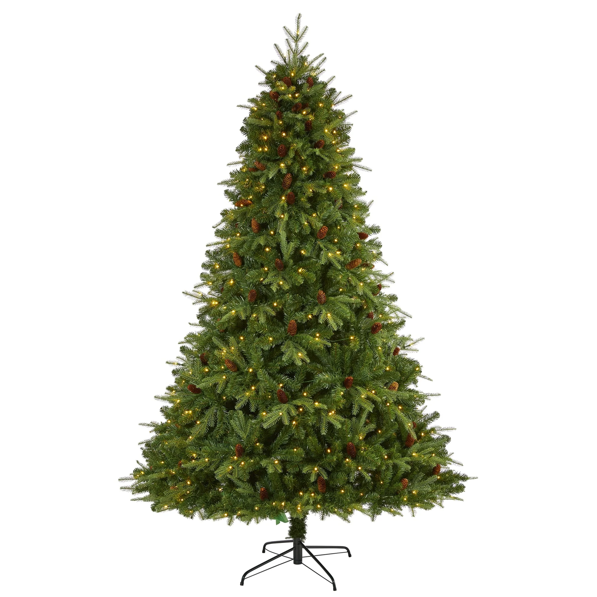 8' Wellington Spruce