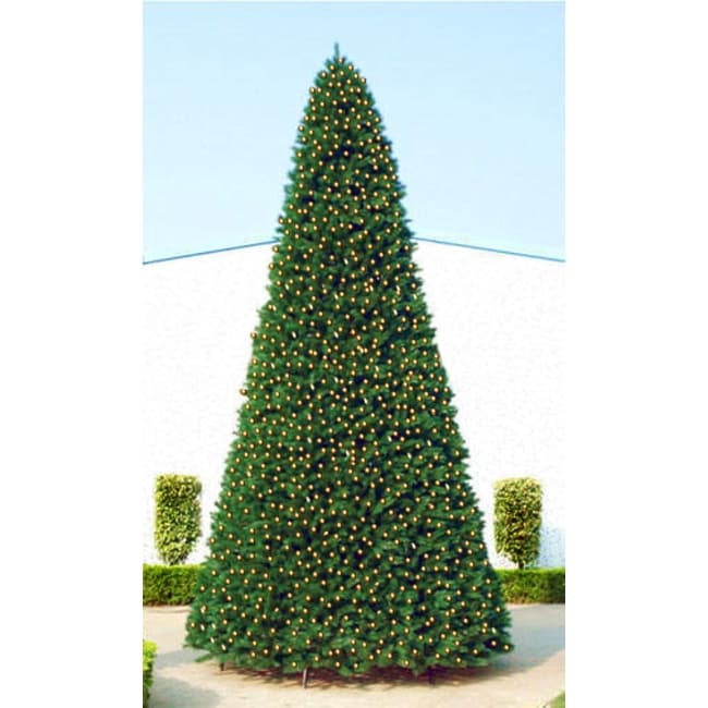 12' Pre-Lit Green Slim Pine Artificial Christmas Tree - Clear Lights - over-10-feet