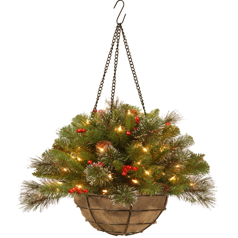 National Tree Company 20 in. Crestwood Spruce Chain Hanging Basket - Green