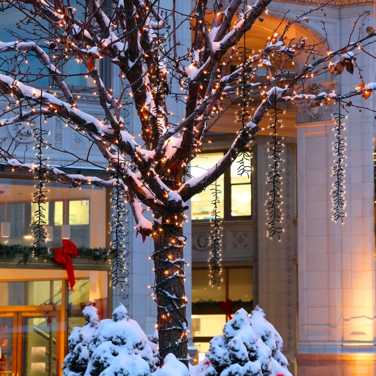 Lighticicle Tree Lights with Meteor Function