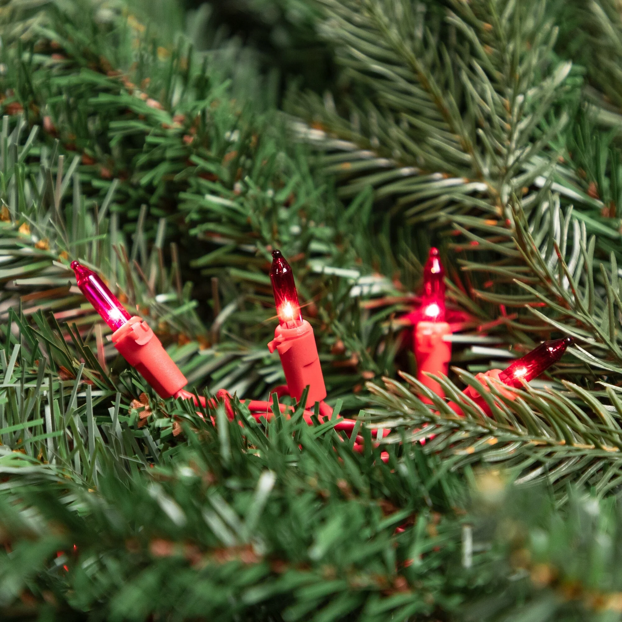 Mini Christmas Light Set - Red and Pink - 10' Red Wire - 50ct