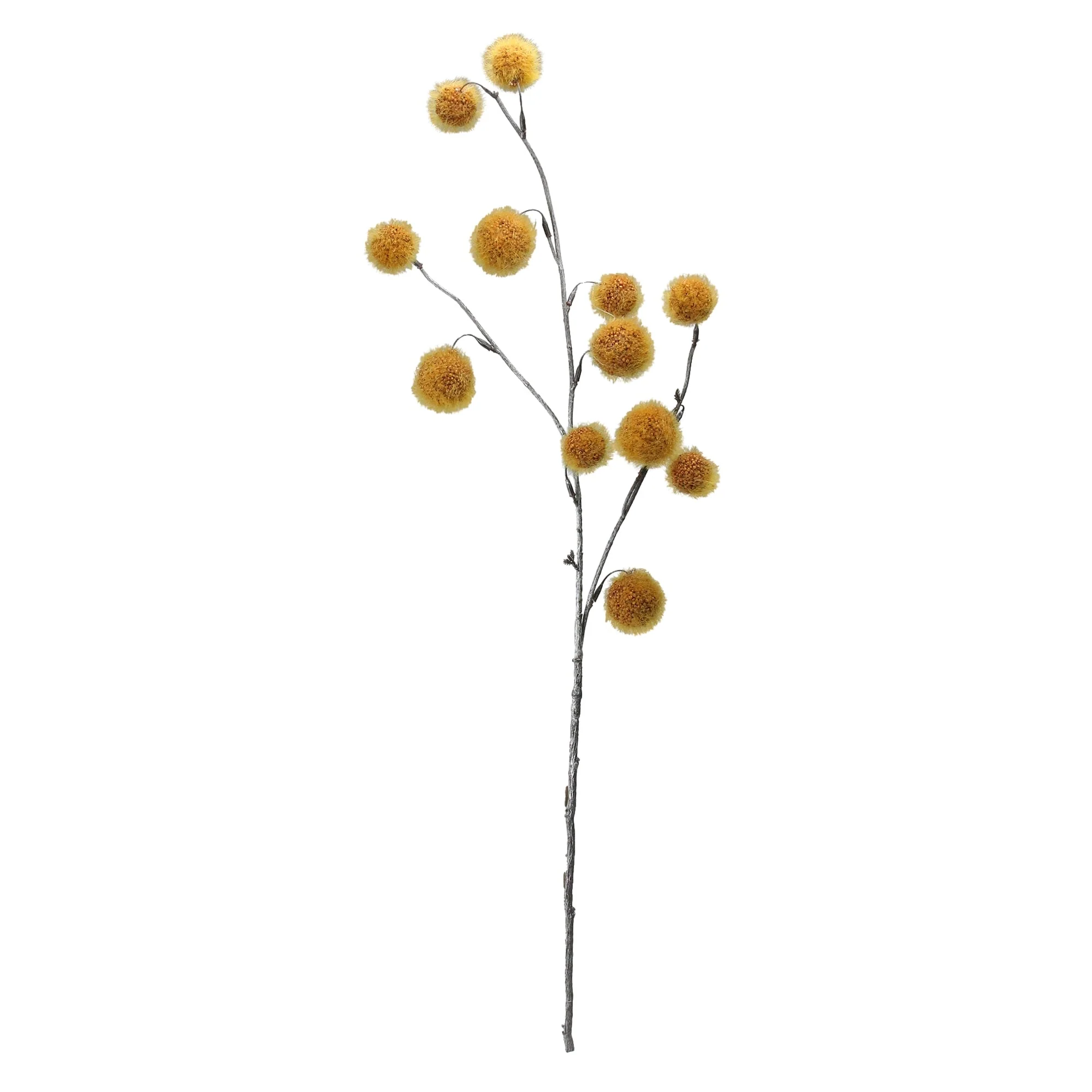31