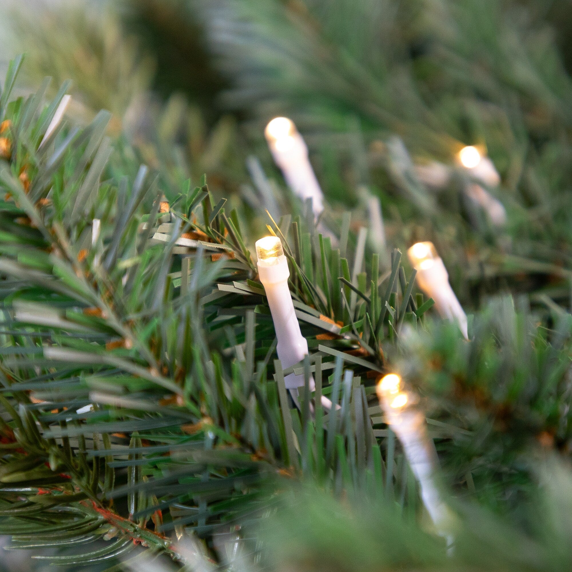 10 B/O Warm White LED Wide Angle Christmas Lights - 3 ft White Wire