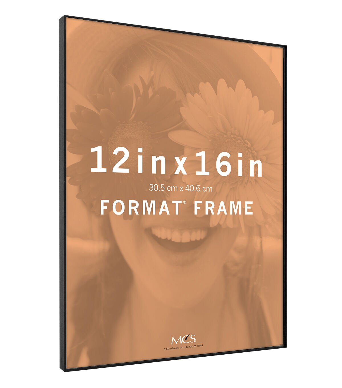 MCS 12 x 16 Front Loading Black Wall Frame